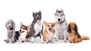 10 Maiores Problemas em Condomínio